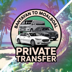 Effortless Private Transfer: A Comfortable Journey from Bantayan Island to Moalboal
