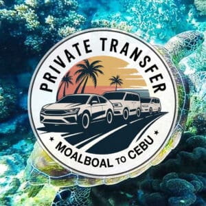Effortless Private Transfer: A Comfortable Journey from Moalboal to Cebu